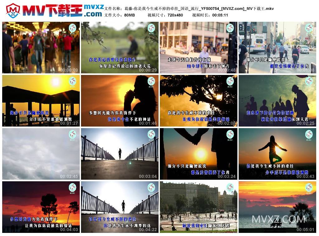 葛藤-你是我今生戒不掉的牵挂_国语_流行_YF500754